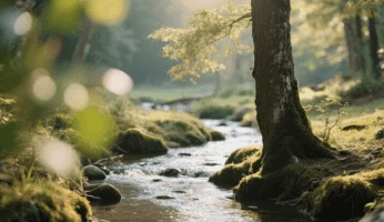 Blessed Are Those Who Delight in God’s Word Every Day – Psalm 1