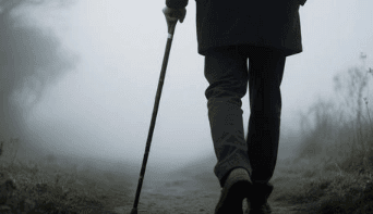 Straining the Gnat, Swallowing the Camel: Seeing with God’s Eyes
